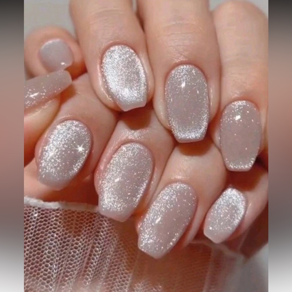 Silver Metallic Cat-Eye Press On Nail Set NEW π·οΈ